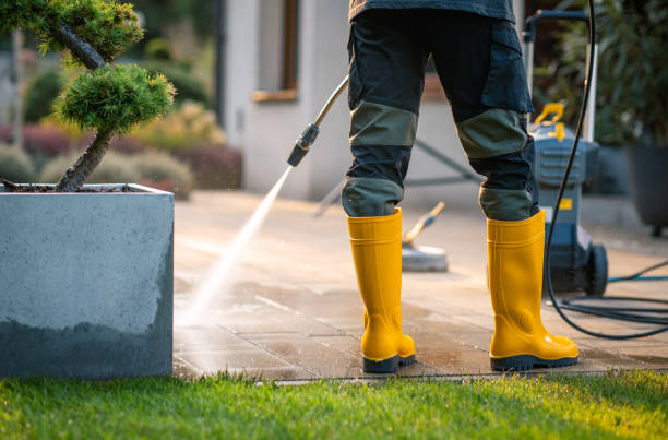 Best Affordable Power Washing  in Akron, IA